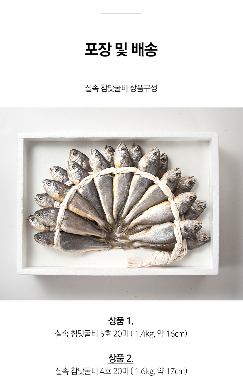 상세