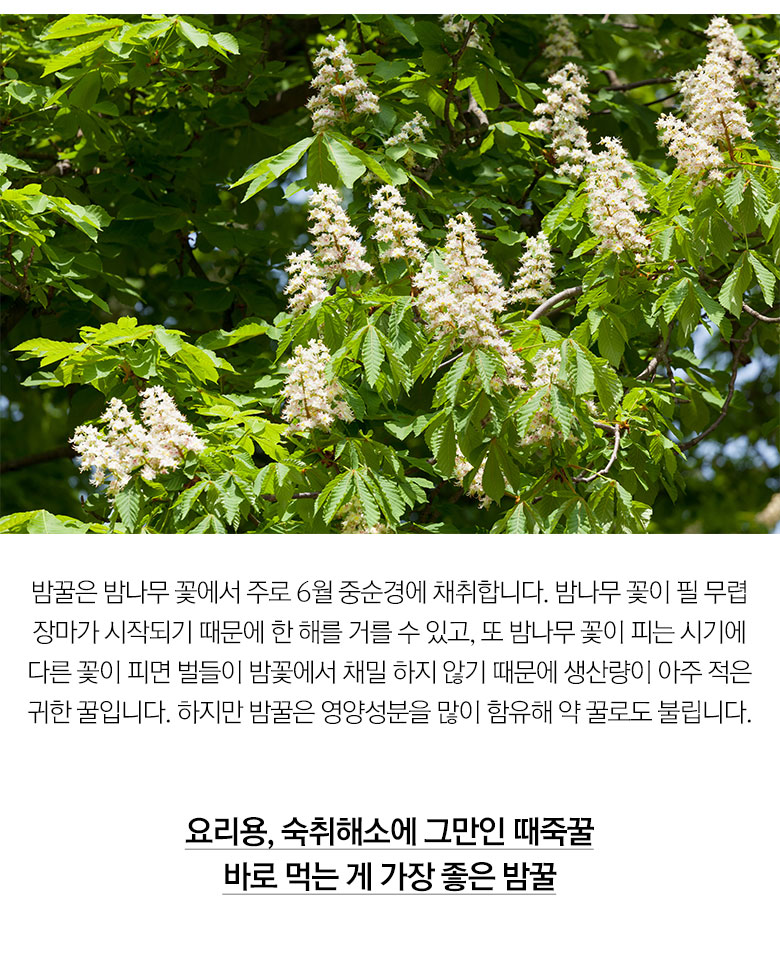 상세