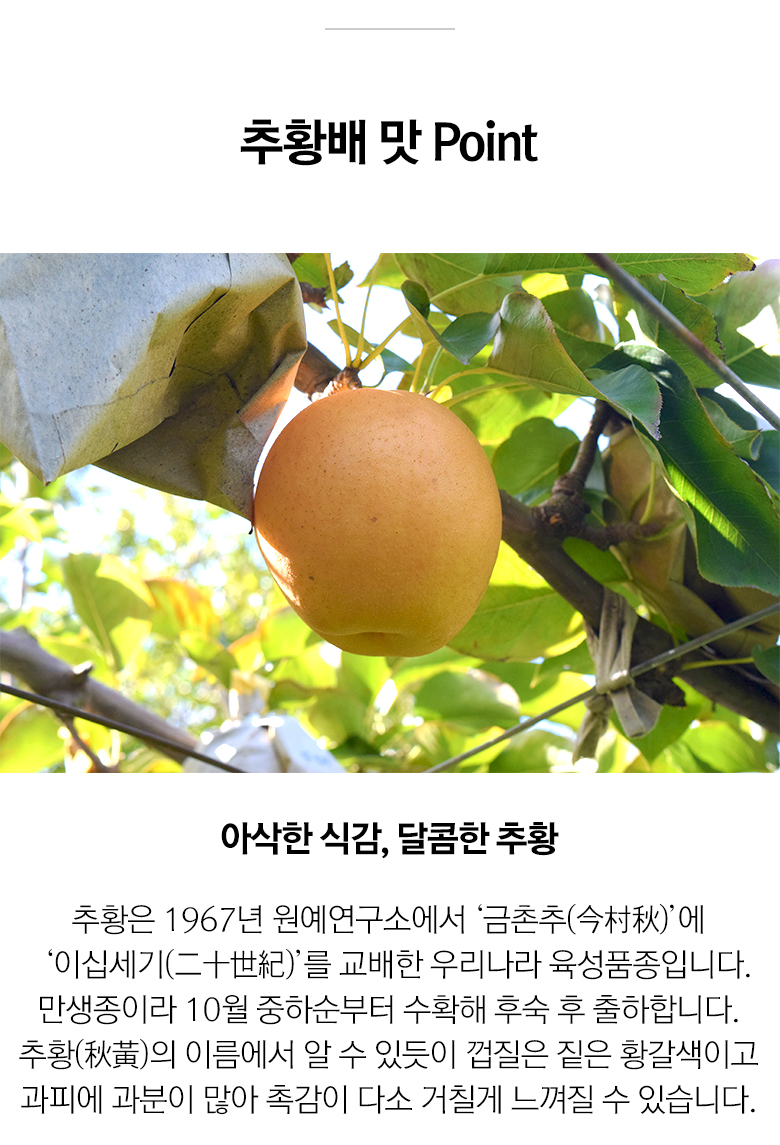 상세