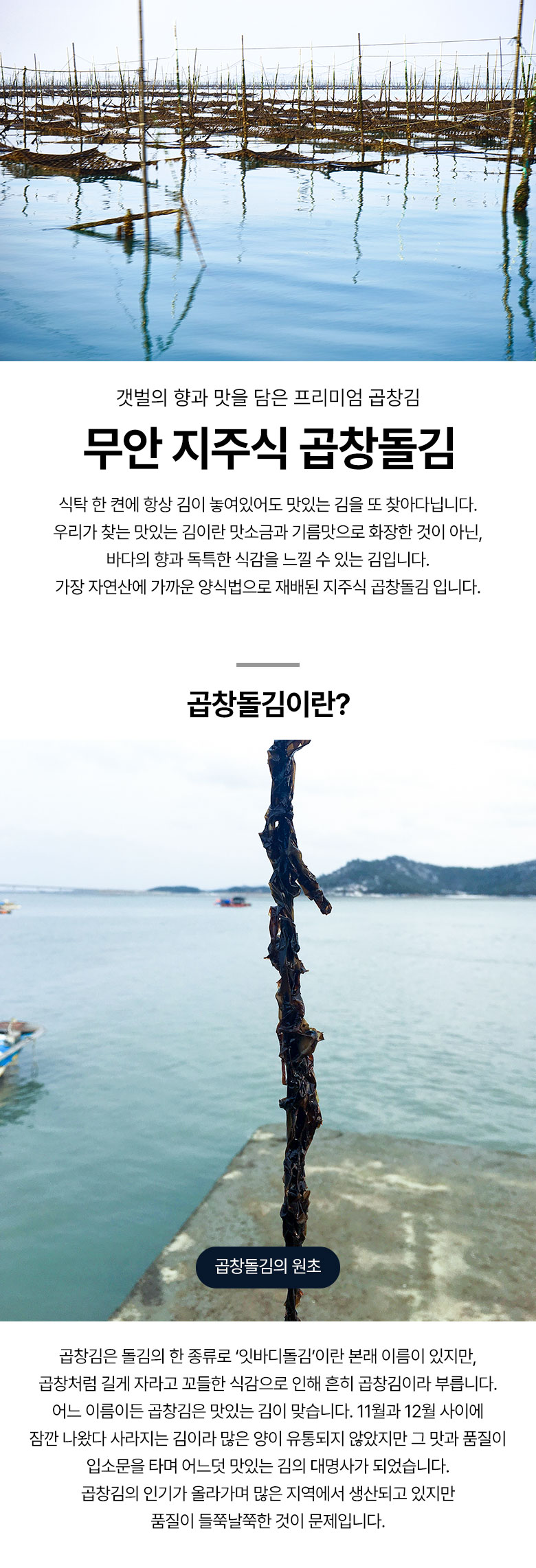 상세