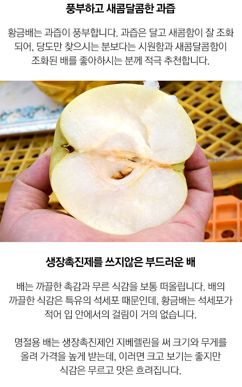 상세